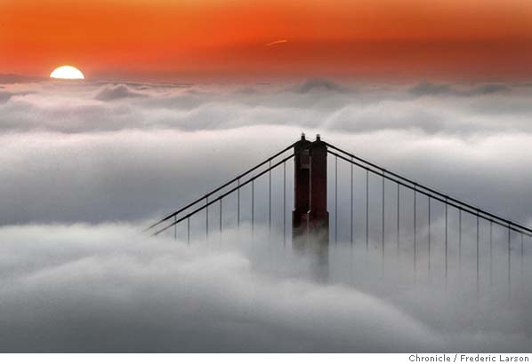 surrounded by fog, where do i go