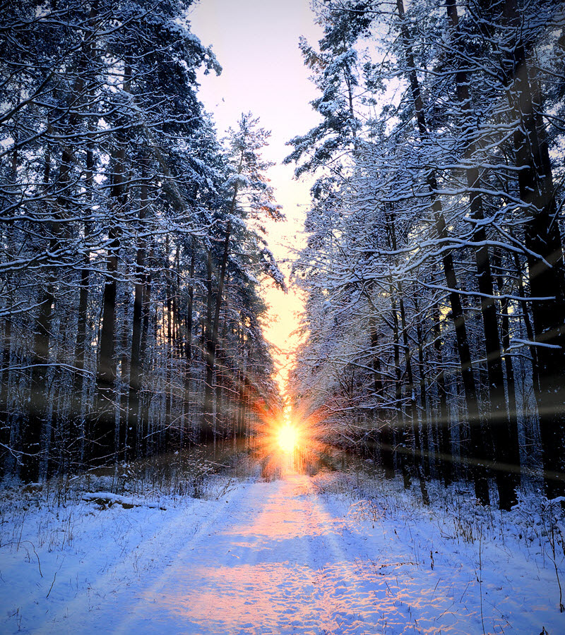 friend in solitude, solitude, sun, morning