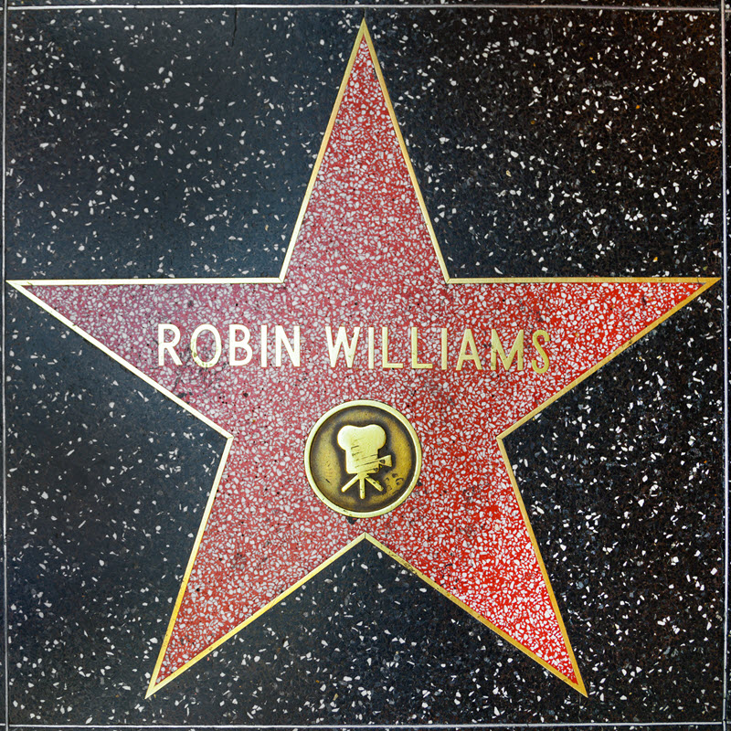 robin williams
