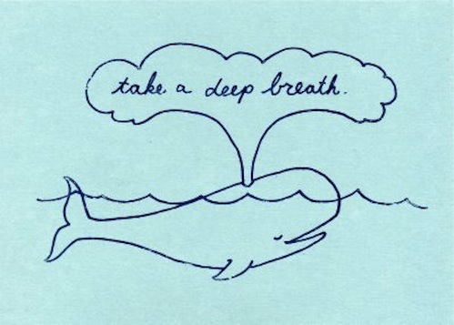 deep breath whale