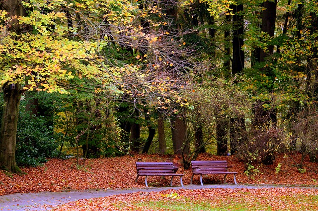 park bench