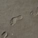 footprint
