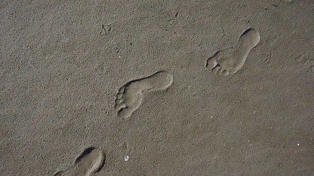 footprint
